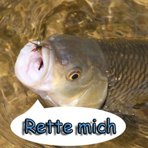 rettemich