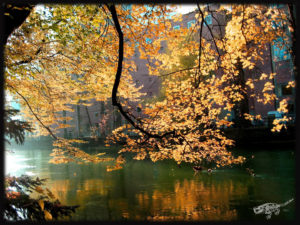 klein_IMG_3944_1